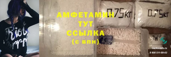 стафф Алексин