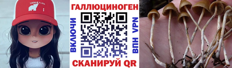 Галлюциногенные грибы мухоморы Петрозаводск